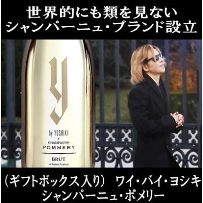 ヴーヴクリコ 草間彌生（ワイン）｜ドリンク、水、お酒 | 食品 の