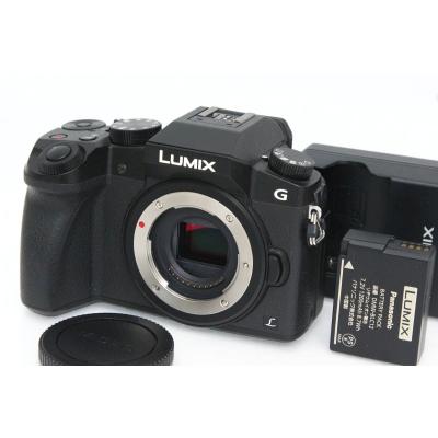lumix g100d（付属レンズ：本体のみ）のおすすめ人気商品一覧 通販