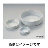 タキシン 磁製平皿 φ60mm 25mL 6-563-01 | あきばおー ヤフーショップ