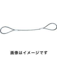 トラスコ ワイヤーロープスリング Aタイプ アルミロック 14mm×3m TWAL-14S3 | あきばおー ヤフーショップ