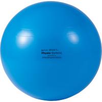 ダンノ ギムニクカラーボール９５ ブルー（直径 95 ｃｍ） DANNO D5435 | あきちゃん堂