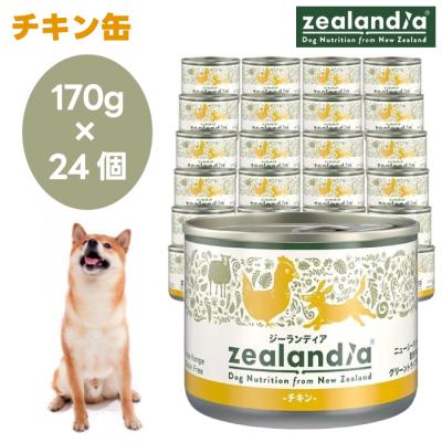 ジーランディアのおすすめ人気商品一覧 通販 - Yahoo!ショッピング