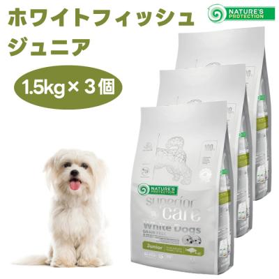 ホワイトドッグ ジュニアのおすすめ人気商品一覧 通販 - Yahoo