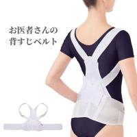 姿勢矯正 グッズ 姿勢矯正ベルト 姿勢をよくするグッズ サポーター 背筋 ベルト お医者さんのがっちり背すじベルト 爆買 | アルファックス online shop