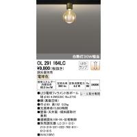 最新型 2023年モデル　OL291164LC ランプ別梱包  オーデリック odelic LED照明 | LED照明.com