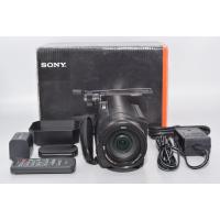 ★新品級★ SONY ソニー デジタル4Kビデオカメラレコーダー FDR-AX100 | グローバルカメラ