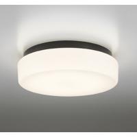 ＯＤＥＬＩＣ　バスルームライト（浴室灯）　電球色　R15高演色LED　LEDランプ付き　OW269012LR | オールライト Yahoo!店