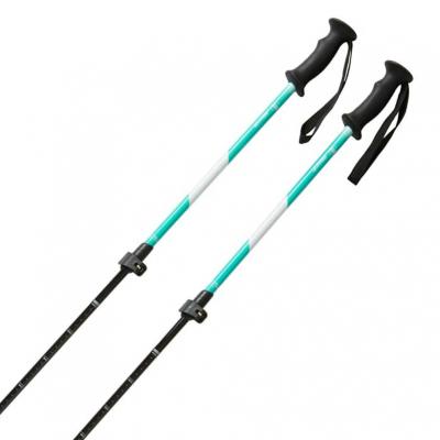 Hart スキーストック｜スキー｜スポーツ おすすめ人気商品一覧 通販