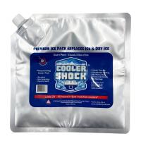 クーラーショック COOLER SHOCK Mサイズ 7CSMS キャンプ 保冷剤 COOLER SHOCK | アルペングループヤフー店