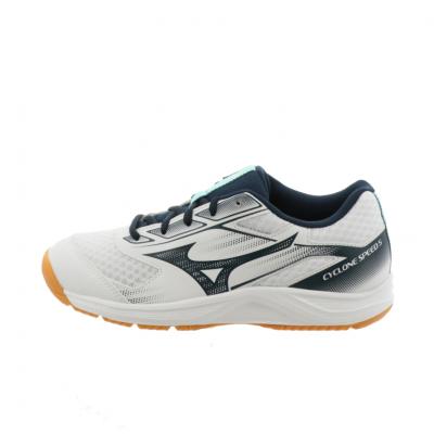 MIZUNO バレーボールシューズ（サイズ（cm）：24.5cm