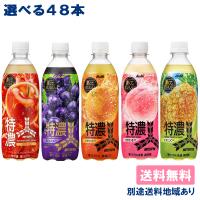 アサヒ 三ツ矢 特濃 炭酸飲料 PET 500ml 選べる2ケースセット 48本（ 24本入 x 2ケース ）送料無料 別途送料地域あり | アクアライフサービス