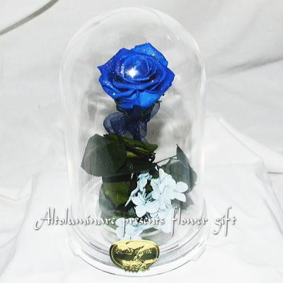 青い薔薇 プレミアムローズ 1本プリザーブドフラワー 大輪の青バラ ブルーローズ