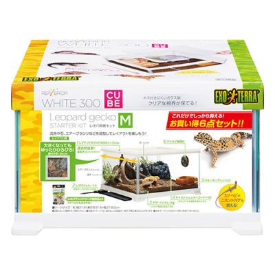 ヒョウモントカゲモドキ 飼育セット（ペット用品、生き物）のおすすめ