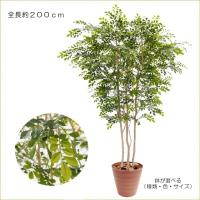 トネリコ 0cm 上広がりバージョン 人工 観葉植物 造花 インテリア 2m おしゃれ 室内 フェイク グリーン 大型 樹木 装飾 Am300 181 0 造花観葉植物専門店ビワールデコ 通販 Yahoo ショッピング