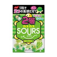 ２層カメカメSOURS マスカット 45g×6袋　サワーズ　ノーベル製菓 | あめちゃん 飴の専門卸店