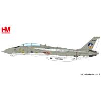1/72 F-14D トムキャット “VF-31 トムキャット・サンセット 2006”[ホビーマスター]《発売済・在庫品》 | あみあみ Yahoo!店