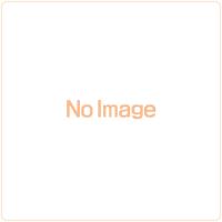 1/25 コルベット スティングレイ C8 クーペ プラモデル[ドイツレベル]《０７月仮予約》 | あみあみ Yahoo!店
