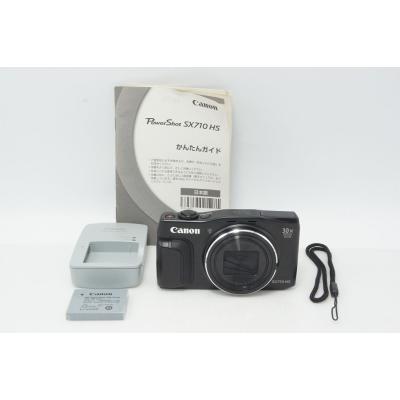 Canon sx 70 HS（対応メディア：SDカード）のおすすめ人気商品一覧