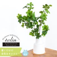 フェイクグリーン おしゃれ 人工観葉 玄関 リビング 卓上 トイレ 観葉植物 花瓶 陶器 白 ドウダンツツジ ナチュラル カフェ 消臭 抗菌 CT触媒 ECLIA Lサイズ | おしゃれ照明のAmpoule