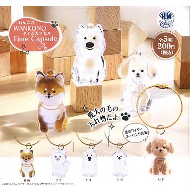 アミュームショップ - 新商品予約｜Yahoo!ショッピング