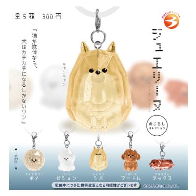 アミュームショップ - 新商品予約｜Yahoo!ショッピング
