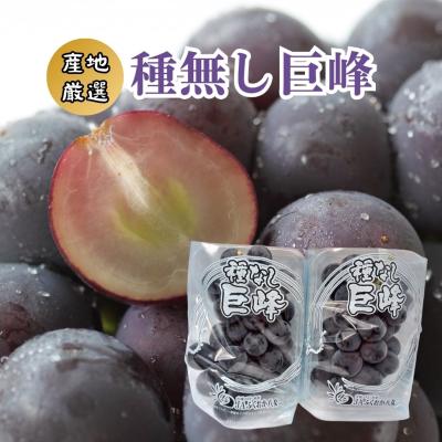 巨峰のおすすめ人気商品一覧 通販 - Yahoo!ショッピング