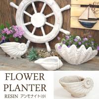 プランター 植木鉢 貝型鉢 アンモナイト フラワーベース小 底穴あり レジン 貝モチーフ 鉢 オーナメント オシャレ Y0190 Mrt エストアガーデン 通販 Yahoo ショッピング