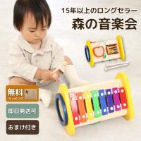 森の音楽会 おもちゃ エドインター 知育 木のおもちゃ 2歳 楽器 楽器のおもちゃ ドラム 木琴 リトミック 出産祝い おしゃれ 誕生日 プレゼント 知育玩具 | andot