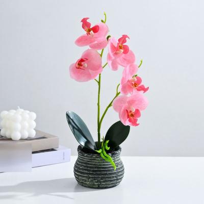 人工観葉植物　胡蝶蘭 商品詳細 胡蝶蘭【グリーンショップ フェニックス】胡蝶蘭