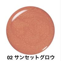 EXCIA アルビオン エクシア リクイッド アイカラー 5.0ml 5色 新発売