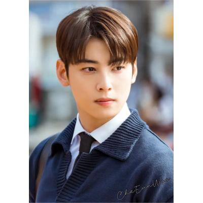 チャウヌ　ミラー　手鏡　アストロ　チャウヌミラー10 チャウヌ ミラー 手鏡 アストロ チャウヌミラー10