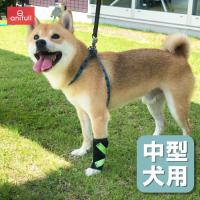 犬用品 手 前足 手根関節 固定 制限 底屈 背屈 歩行補助 手首 サポーター 超小型犬用 オーダーメイド ダイヤ工業 Anifull アニフル 999 0013syuco 愛犬と一緒に歩くを叶える Anifull 通販 Yahoo ショッピング