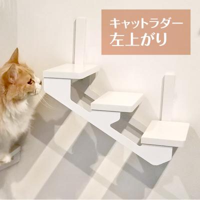 animacolle - Catroad+(キャットロードプラス)|Yahoo animacolle - Catroad+(キャットロードプラス)|Yahoo