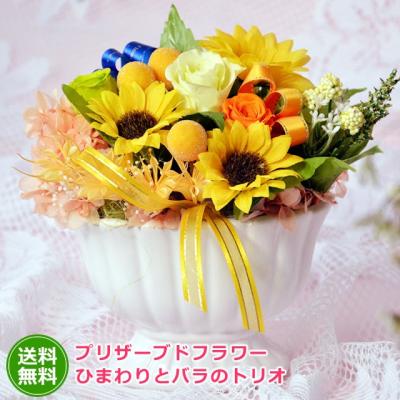 プリザーブドフラワーひまわりのおすすめ人気商品一覧 通販 - Yahoo