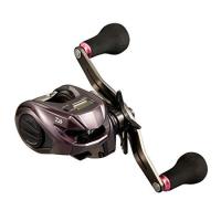 ダイワ(DAIWA) 21 紅牙 IC 150L | ANR trading