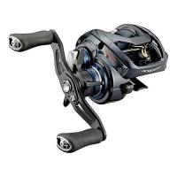 ダイワ(DAIWA) 21 スティーズ A TW HLC 6.3R | ANR trading