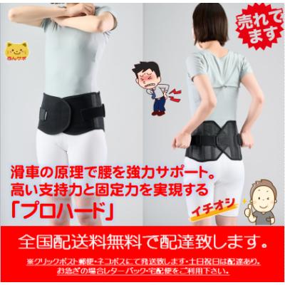 ダイヤ工業 コルセットのおすすめ人気商品一覧 通販 - Yahoo!ショッピング