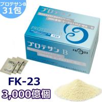 プロテサンB 1.0g×31包  FK-23 FK23 ニチニチ製薬 乳酸菌 サプリメント | Antelヤフー店