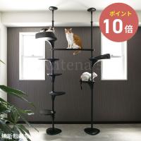 OPPO キャットフォレスト ツー Cat Forest-2 ペット用品 キャットツリー  突っ張り スリム キャットタワー 猫 ネコ 猫タワー 運動不足 簡単組立 オッポ◆母の日 | Antena5 Yahoo!ショッピング店
