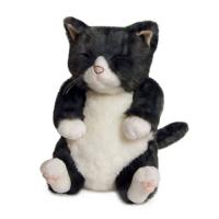 ちびソメ　カドリー(Cuddly)　　猫のぬいぐるみ | aobashop