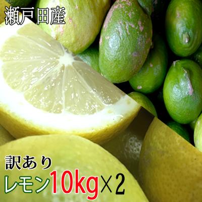 食品 クール付き訳あり無農薬 レモン10キロ箱込 北海道、東北、沖縄