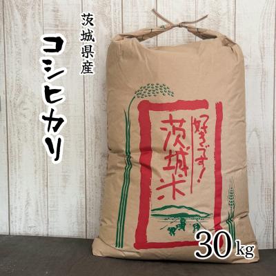 茨城産 コシヒカリ 2㎏の商品一覧 通販 - Yahoo!ショッピング