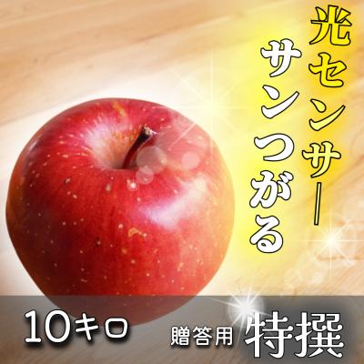 サンふじりんご10kgの商品一覧 通販 - Yahoo!ショッピング