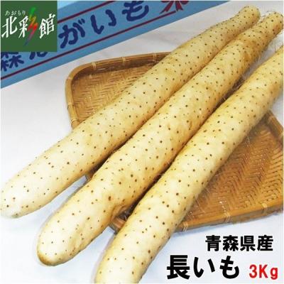 十美商事 青森県産長いも 3Kg】 送料込み・産地直送 青森