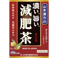 《山本漢方製薬》 濃い旨い 減肥茶 (ティーバッグ) 10g×24包 | 青空BLUE