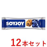 《大塚製薬》 SOYJOY（ソイジョイ） ブルーベリー 12本セット (栄養補助食品) | 青空BLUE