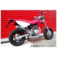 2輪 ビームス SS300カーボン B116-08-000 JAN：4582285321217 ホンダ XR50 BA-AD14 | オートパーツエージェンシー2号店