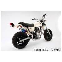 2輪 ビームス SS300チタン アップタイプ B129-09-003 JAN：4582285330080 ホンダ エイプ50 Fi JBH-AC16 | オートパーツエージェンシー