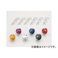 2輪 キタコ ピボットキャップ ブラックアルマイト 523-1123700 JAN：4990852079339 ホンダ モンキー（FI車） FNO,AB27-1900001〜 | オートパーツエージェンシー