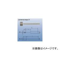 PFERD ダイヤモンドインターナルバー 6mm軸 120 DZY-N15-119303(4867394) JAN：4007220119303 | オートパーツエージェンシー